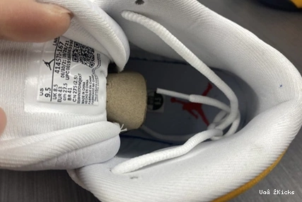 414571- 8824 “Del Sol” Jordan 796 Air Functional 13 1111